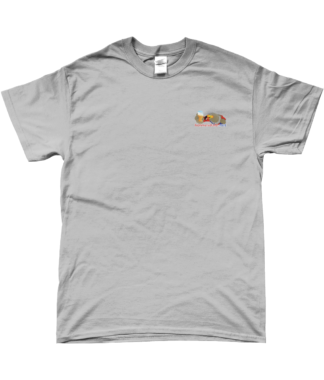 Holmesdale.net branded t-shirt