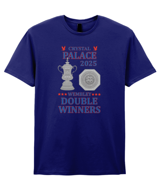 *NEW* Wembley double winners t-shirt - Image 3