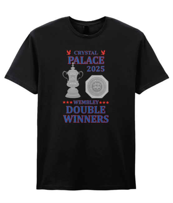 *NEW* Wembley double winners t-shirt - Image 2