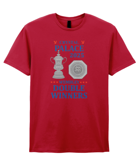 *NEW* Wembley double winners t-shirt - Image 4